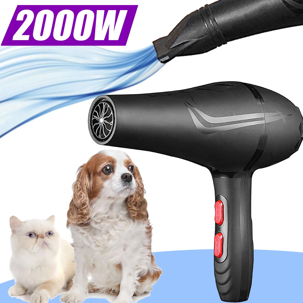 

2000W Pet Hair Dryer For Dogs cat animals softly wind Low Noice with Flat Mouth Pet hair Dryer Drying Dogs 220V