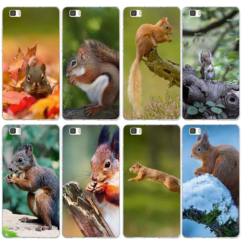 For Huawei P8 P9 P10 P20 P30 Honor 6X 7X 7 9 Mate 10 Pro Lite P Smart Silicone Soft TPU Mobile Phone Case Lovely Animal Squirrel For Huawei P8 P9 P10 P20 P30 Honor 6X 7X 7 9 Mate 10 Pro Lite P Smart Silicone Soft TPU Mobile Phone Case Lovely Animal Squirrel
