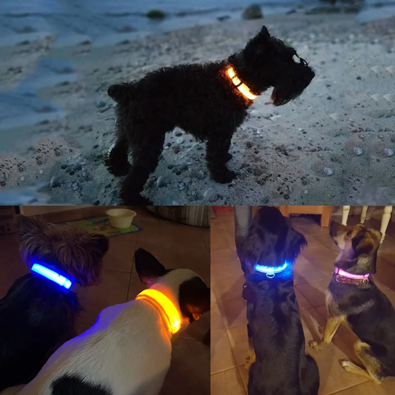 Светодиодный ошейник для собак, USB Перезаряжаемый светильник, ошейник для домашних животных, регулируемый нейлоновый мигающий светящийся ошейник для щенков, товары для защиты от потери