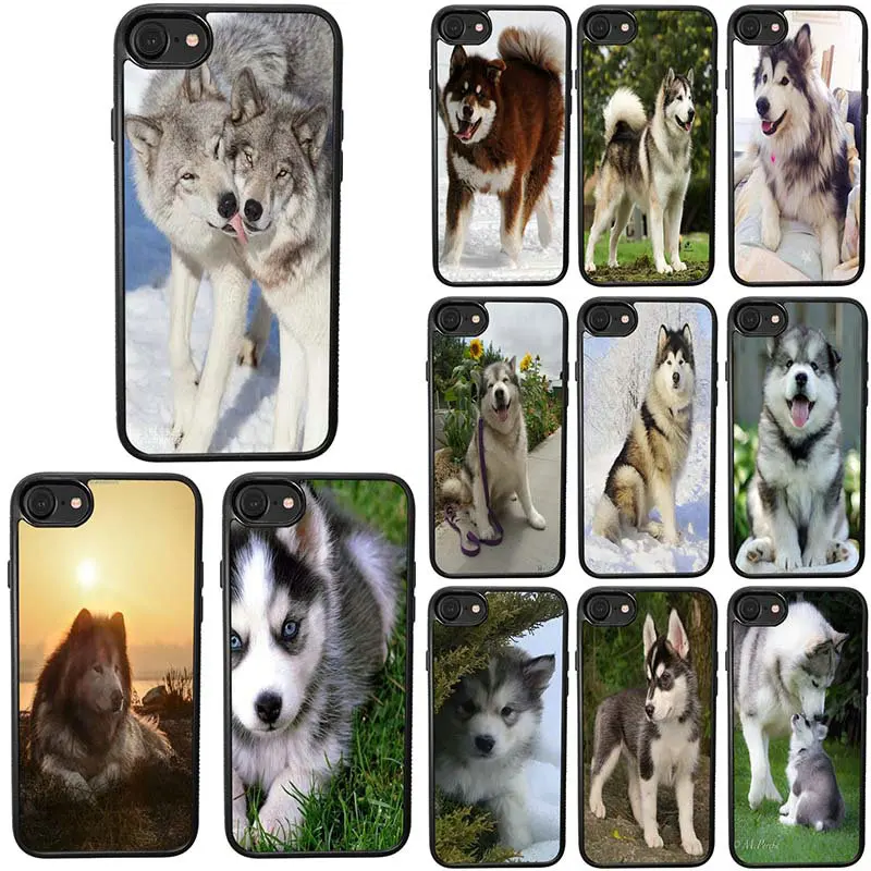 

PC TPU Hard Mobile Phone Cases Cover for iPhone 4 4s 5 SE 5S 6 6S 7 8 Plus X XR XS Max Coque Bags Alaskan Malamute Cute Pet Dog
