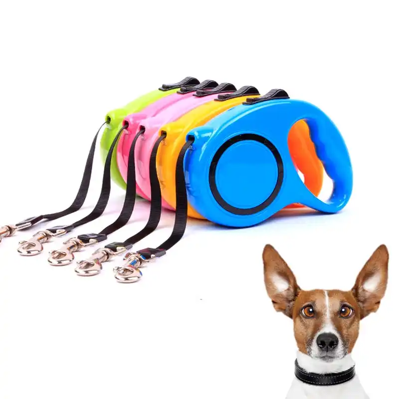 dog lead sale
