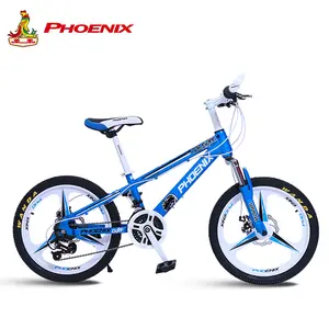 bicycle for kids online