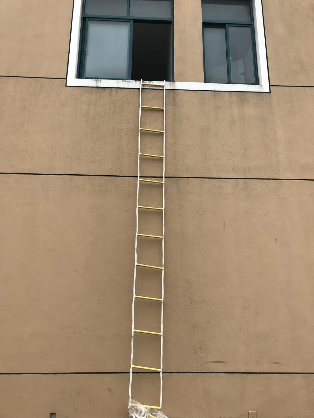 NY LADDER