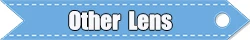 other lens