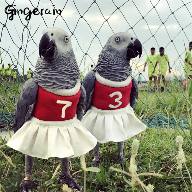 19.0US $ |Gingerain Bird clothes Parrot clothes cheering squad original han...
