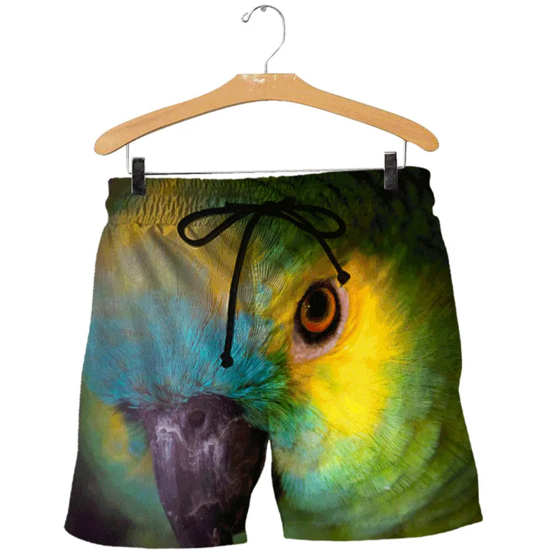D_c_Parrot_3D_DT121002_SHORTS_800x