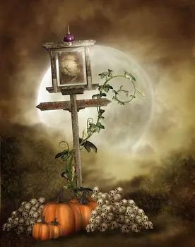 

Moon Pumpkin Skull Halloween backdrop Vinyl cloth High quality Computer printed custom Backgrounds