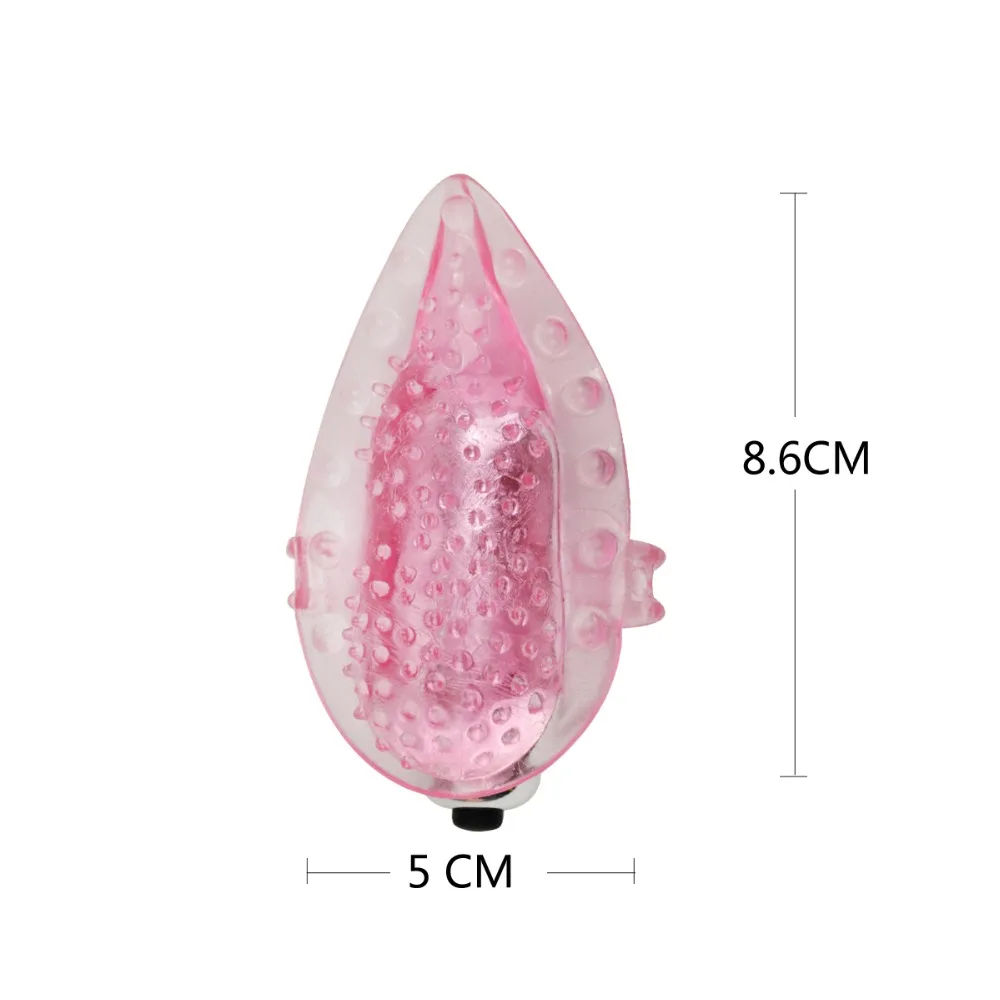 ZH019 (4)