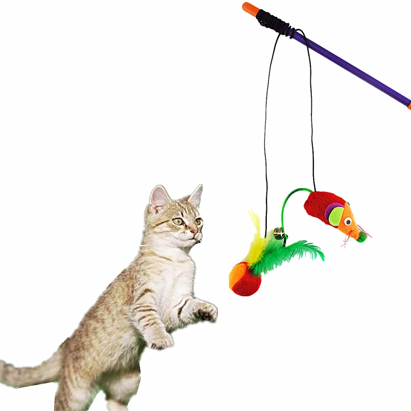 Buy Pet Cat Teaser Cute Mouse Interactive Ball Toys