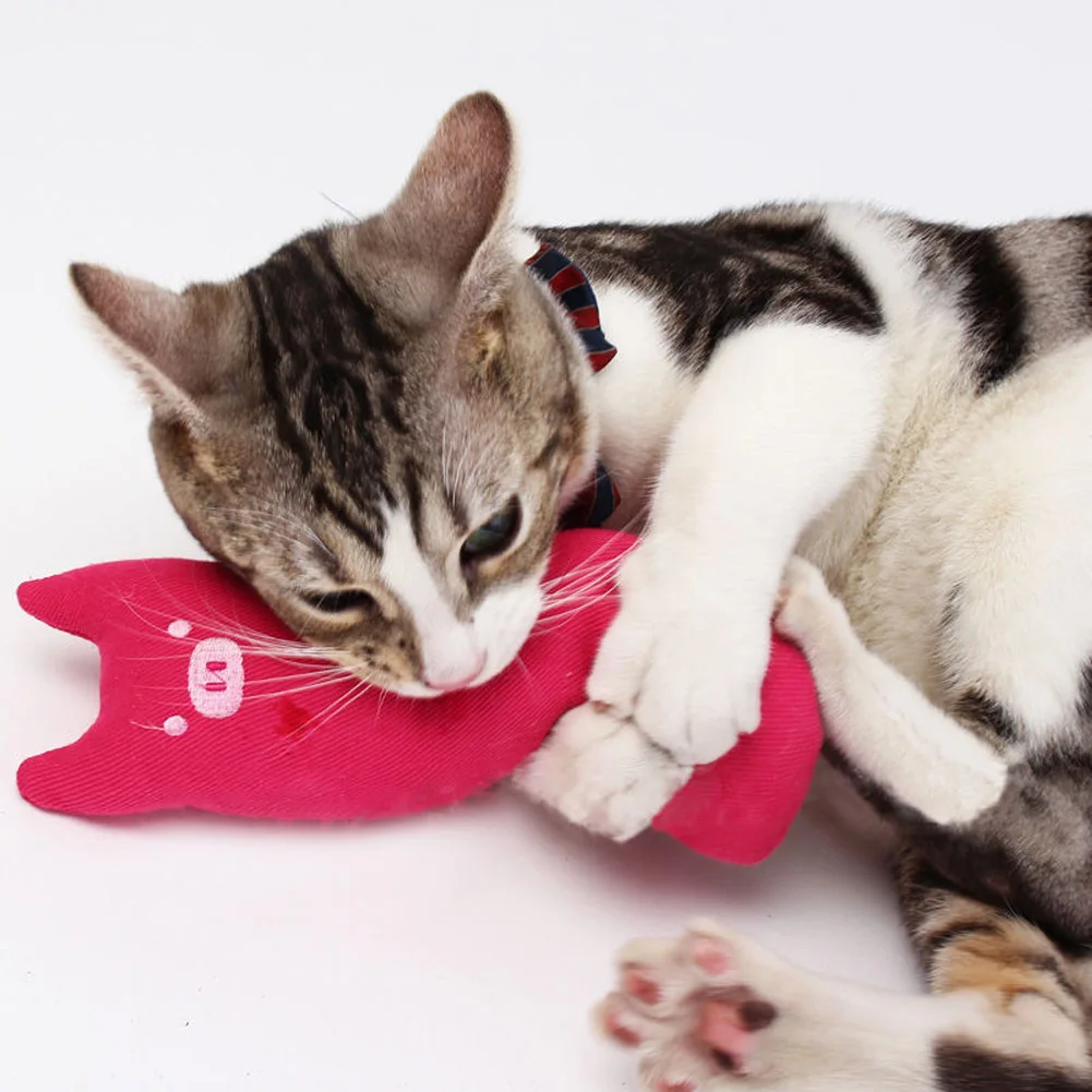 

Hot Cute Pillow Scratch Crazy Cat Kicker Catnip Toy Teeth Grinding Toys LFD