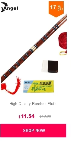 Китайские бамбуковые флейты Xiao вертикальные духовые Музыкальные инструменты 6/8 отверстие flauta для начинающих традиционный фиолетовый Bambu dizi G/F ключ