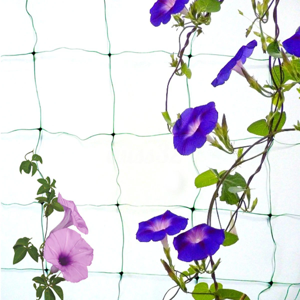 IALJ Топ сад зеленый нейлон решетчатая сетка поддержка вьющееся растение сетки для автомобиля расти забор