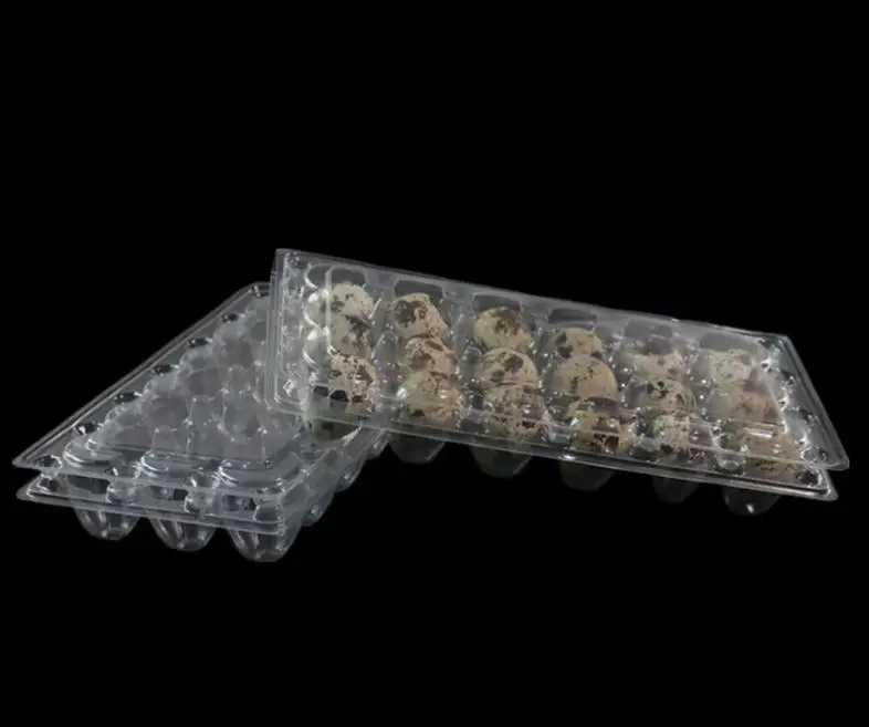 36020190125110954998