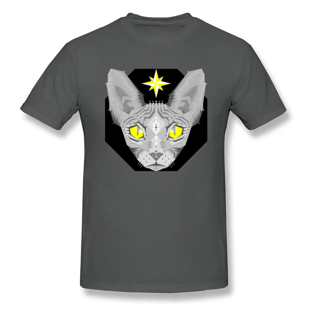 Geometric Sphynx Cat_carbon