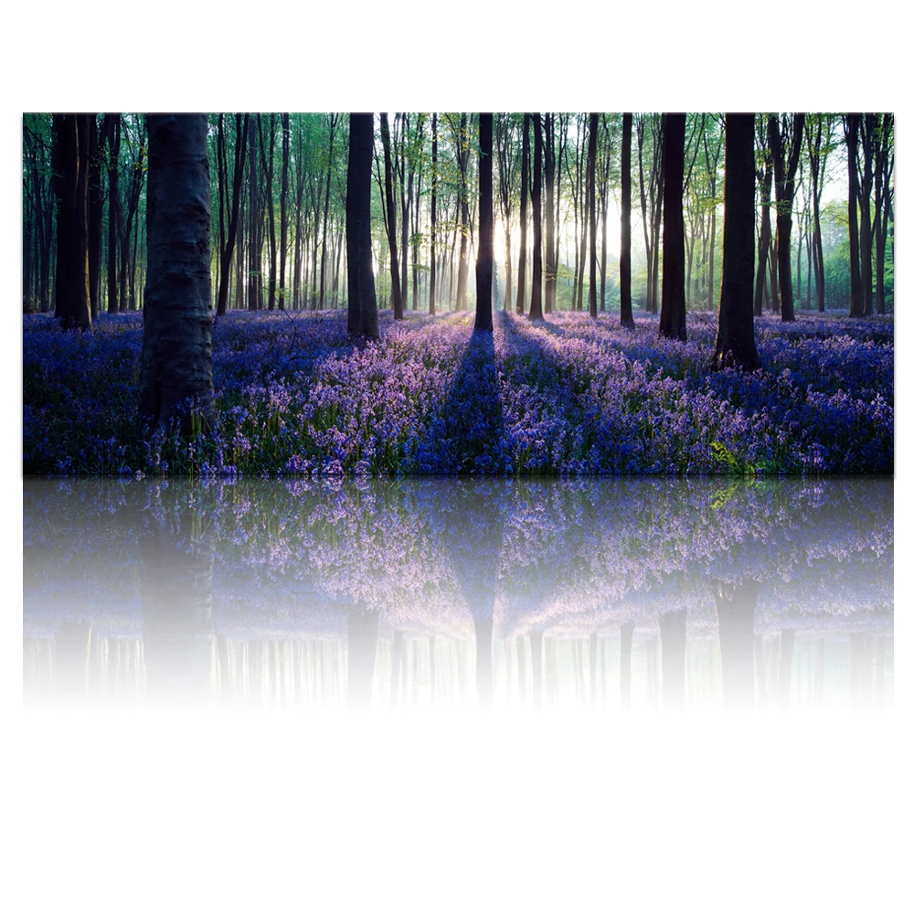FREE SHIPPING Large Size Canvas Wall Art with Frame,Lavender Forest,Mild Sunshine,Landscape Canvas Prints Art Framed Wall Decor