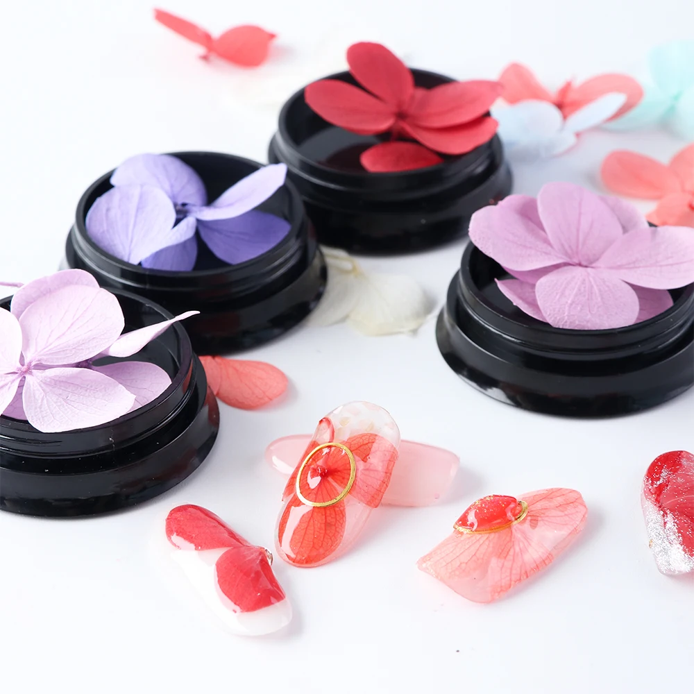 dried flowers 04