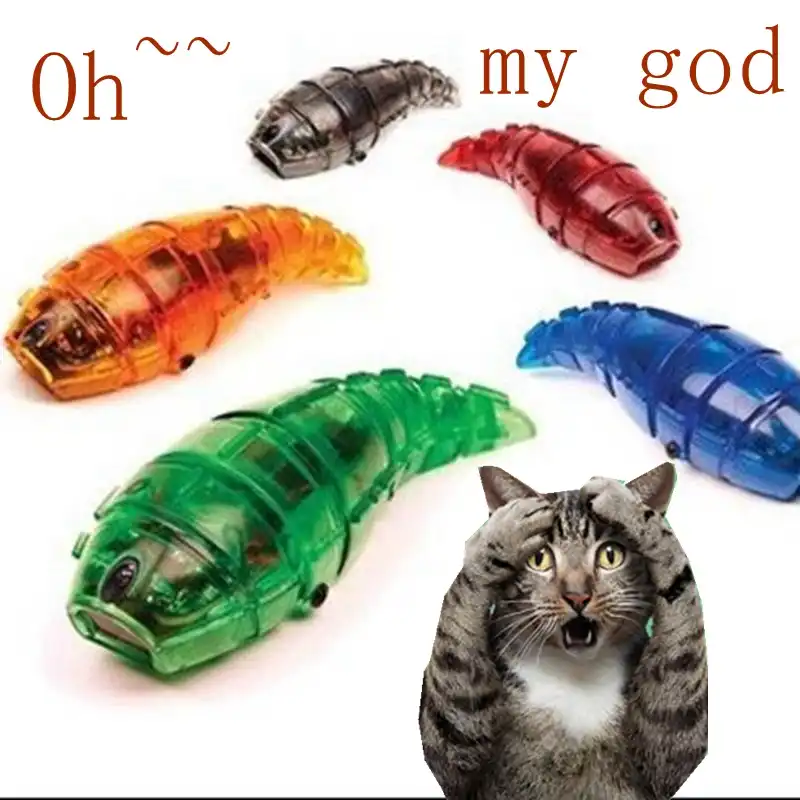 robot bugs for cats