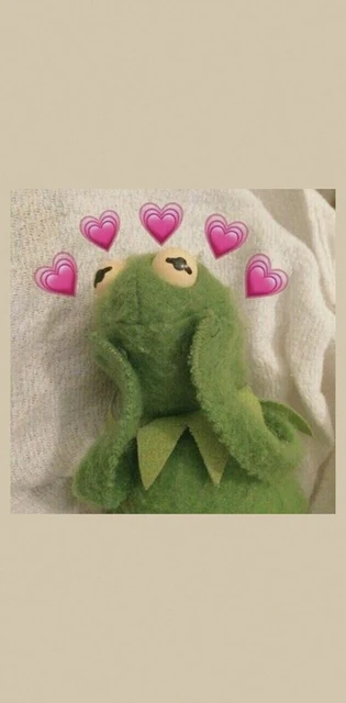 Ruicaica Kermit Frog Newly Arrived Black Cell Phone Case For Apple Iphone 8 7 6 6s Plus X Xs Max 5 5s Se Xr Mobile Cases Aliexpress Cellphones Telecommunications