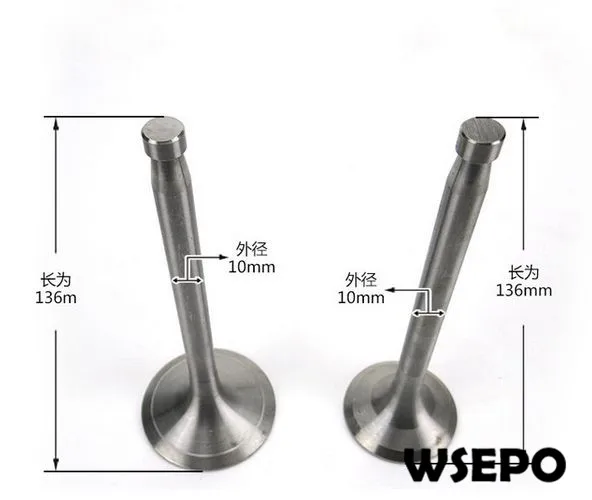

OEM Quality! Intake and Exhaust Valves Kit for ZT1125 4 Stroke Single Cylinder Small Water Cooled Diesel Engine