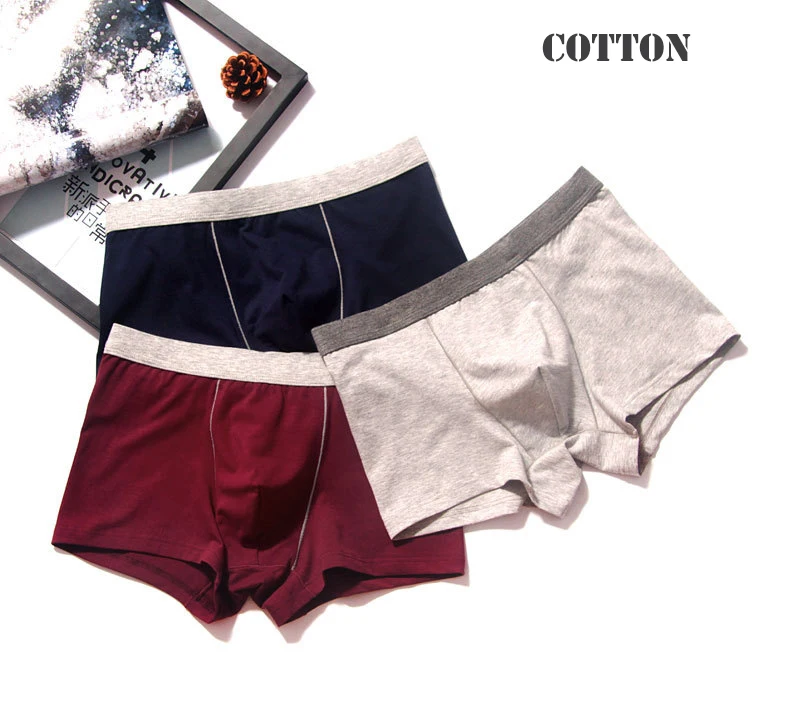 2pcslot Men Underwear Cotton Panties 4XL Cueca Hombre Calvn Boxer Underwear Men Brand Underpants Boxer Shorts 365 Mens Trunks02