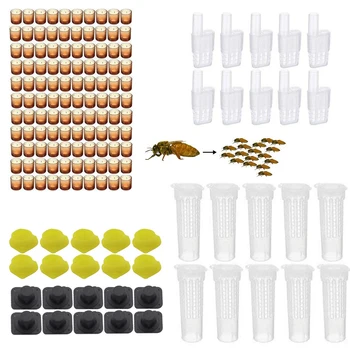 

1set apicultura kit complete bee queen rearing set system plastic protection cover cages cells base celular bees tools cell sale