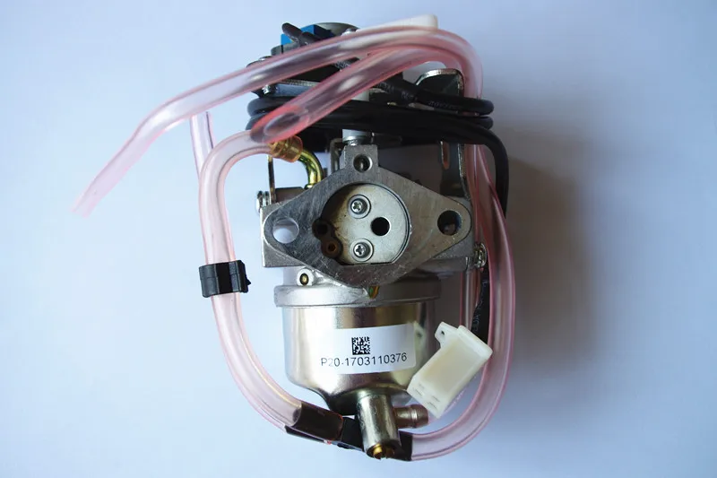 IMGP7982