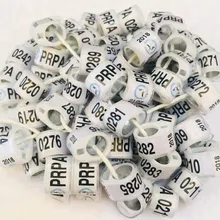 Индивидуальные птица кольца для голубей 100 шт./лот