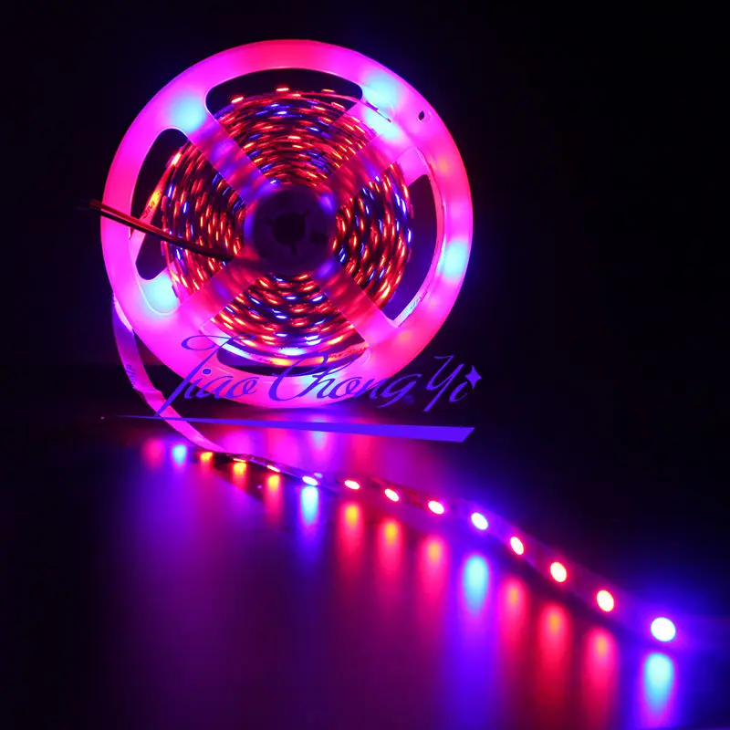 5M 5050 Red4led +Blue1led LED Light Strip For Indoor 5M 5050 Red4led +Blue1led LED Light Strip For Indoor