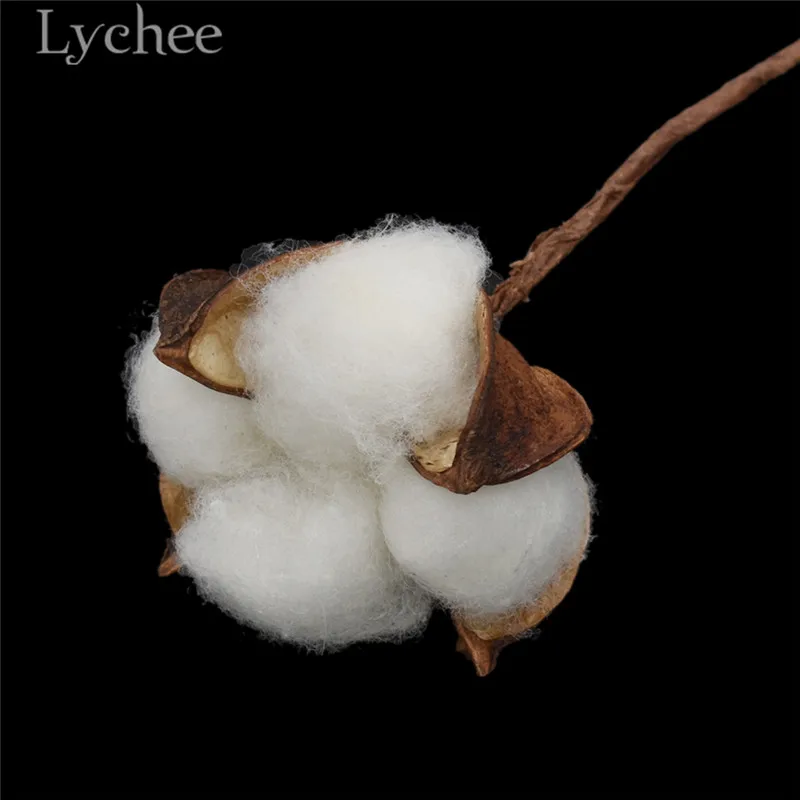 Lychee 10 шт. искусственные Натуральные Сушеные хлопковые Цветочные головки сушеные прессованные цветы DIY ремесла Свадебная вечеринка украшения