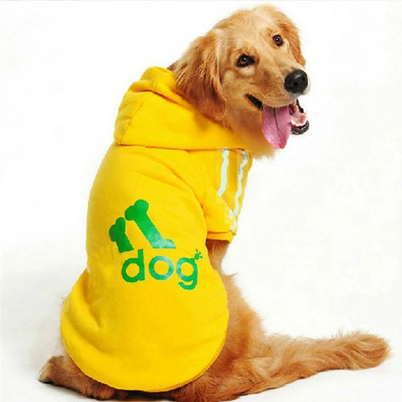clothes for golden retrievers big clothes for golden retriever clothes for golden retrievers big clothes for golden retriever