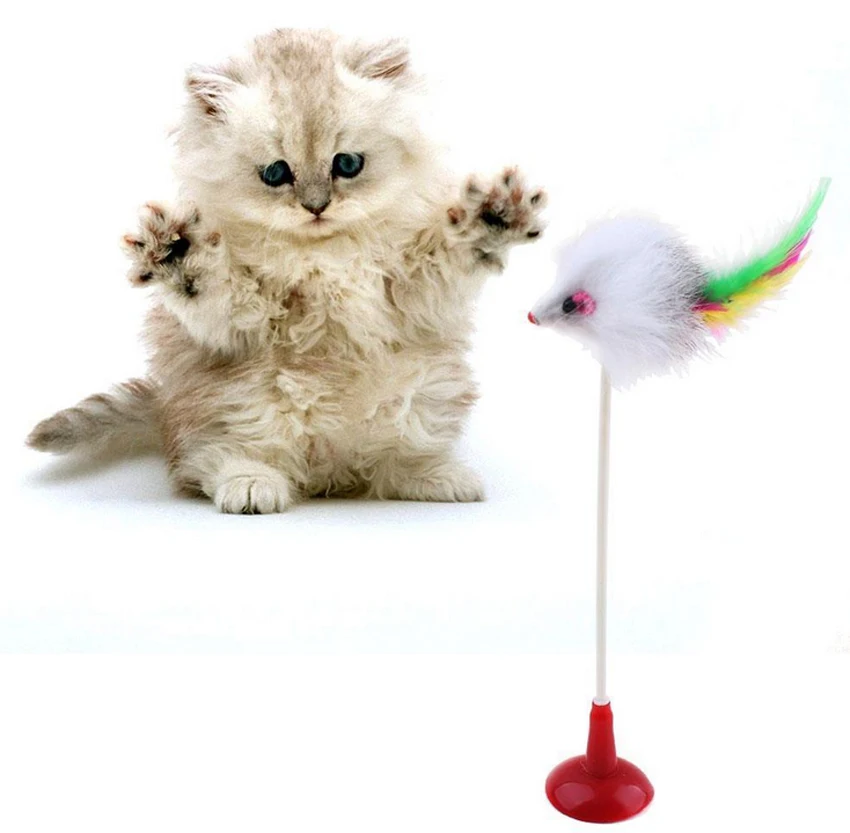 Pet Feather False Mouse Bottom Sucker Cat Kitten Playing Scratch Funny Toy~! 