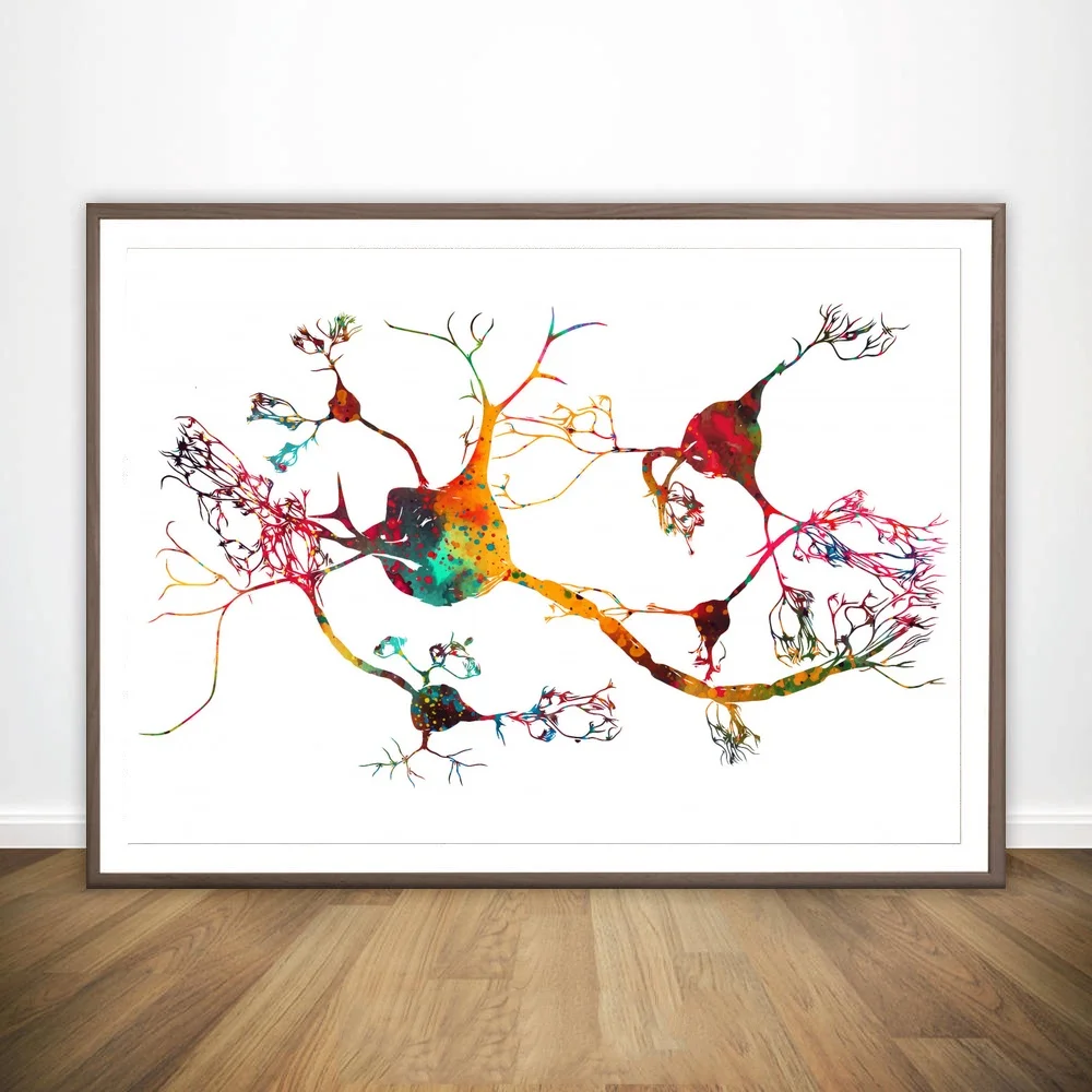 

Neurons And Nervous System Neurotransmitter Nicotine Molecule Optic Chiasm Pancreas Anatomical Medical And Science Poster