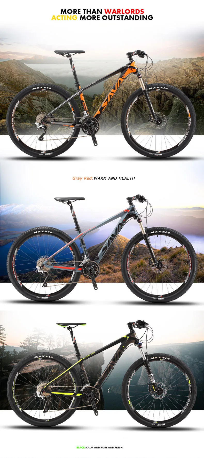 Mountain Bike 300 -2