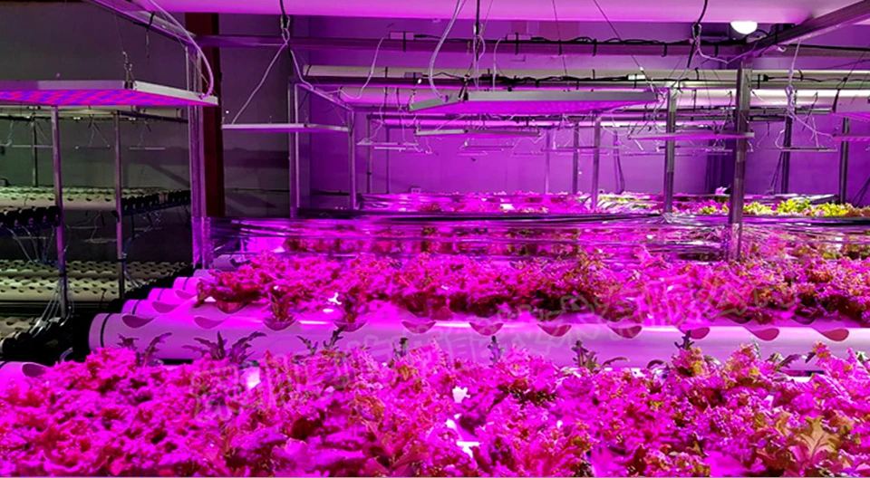 Светодиодный светильник для выращивания растений, полный спектр, светильник s, лампа 25 Вт 45 Вт, лампа для выращивания растений, цветов, теплицы для выращивания растений