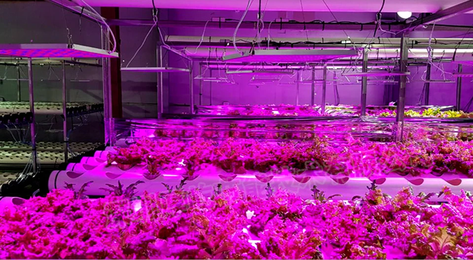 led plant phyto lamp (16)