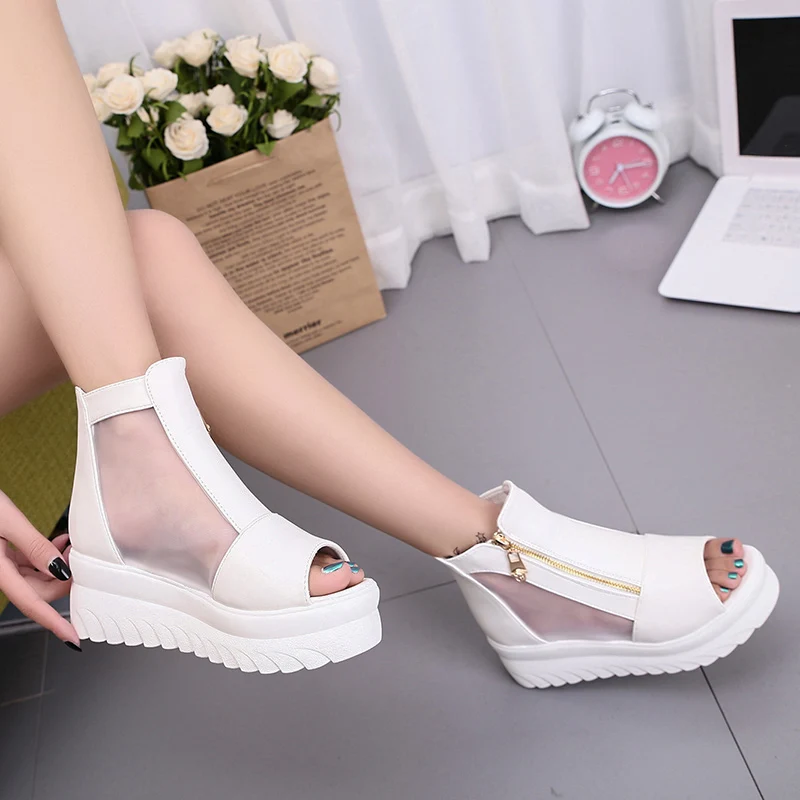 首页图__24_