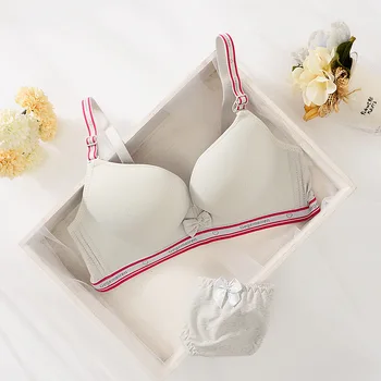 

New 2018 Brand Sexy Seamless One Piece Intimates Bras & Brief Sets Underwear For Womens Ladies Push Up Plunge Dress Bra Sets