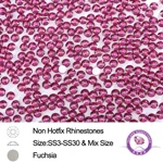 FRN27 Fuchsia (1)