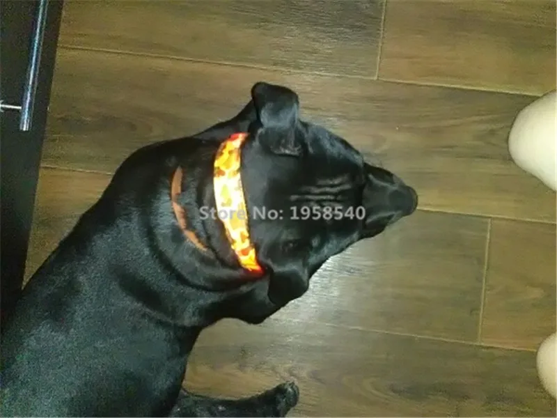 D70 собака светодиодный ошейник с USB Перезаряжаемые 2,5 см ширина pet ошейник для собак и кошек нейлон огни воротник светоизлучающий светодиодный световой