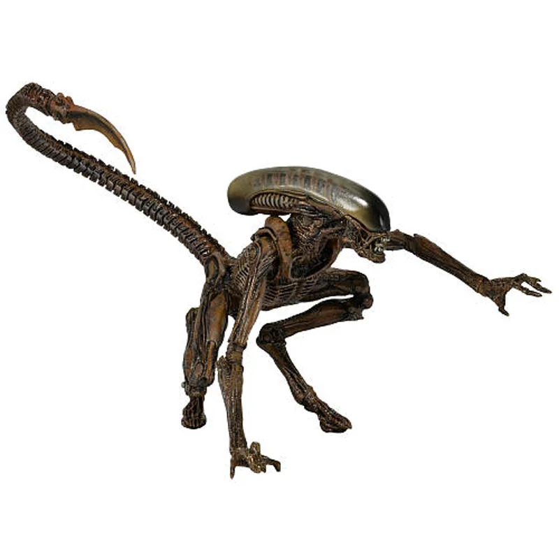 Figure (7)