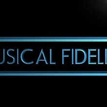 LL085-Musical Fidelity привет-fi Music светодиодный знак неонового света