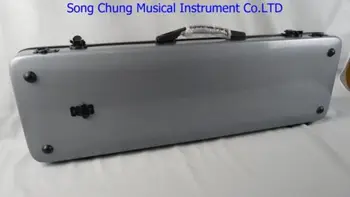 

Strong siver gray glass fiber reinforced plastics violin case