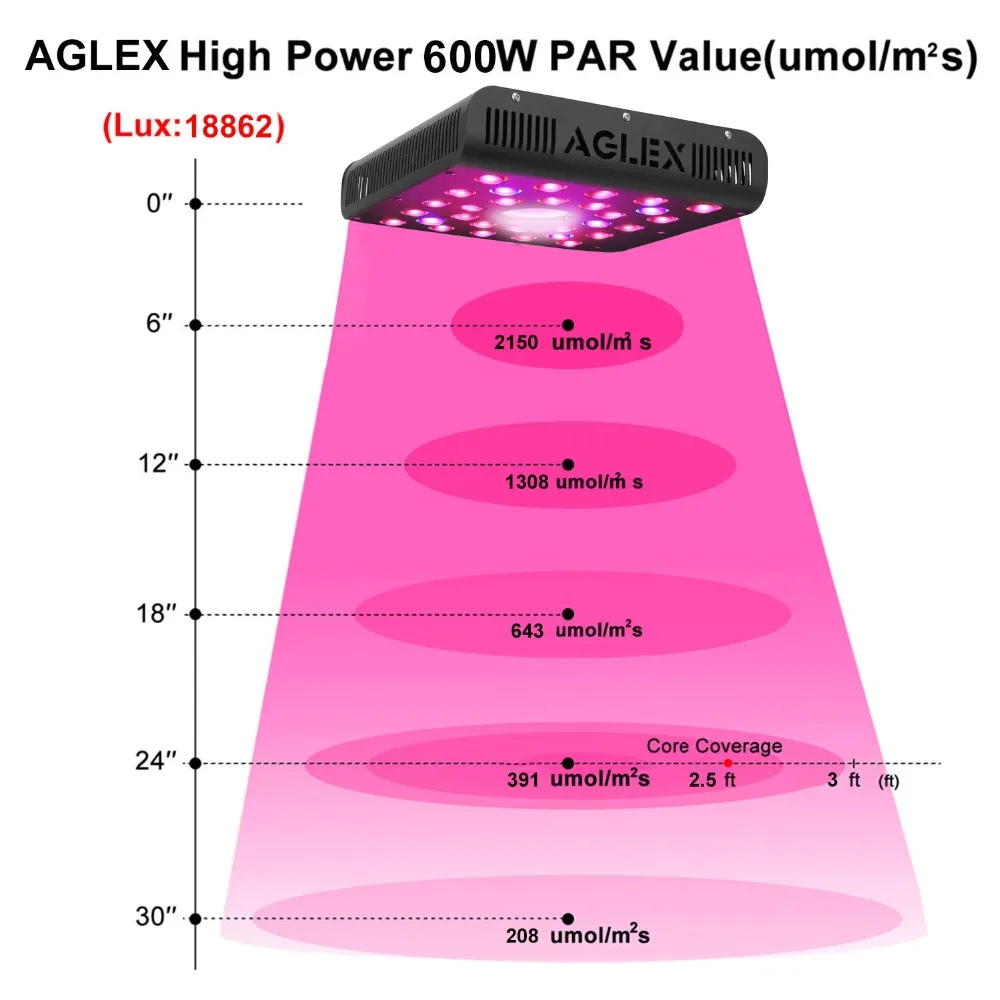 AGLEX COB 600W par reading