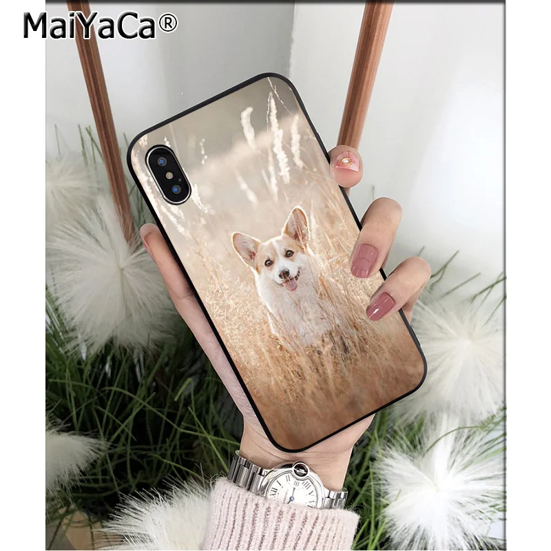 Anime Corgi dog