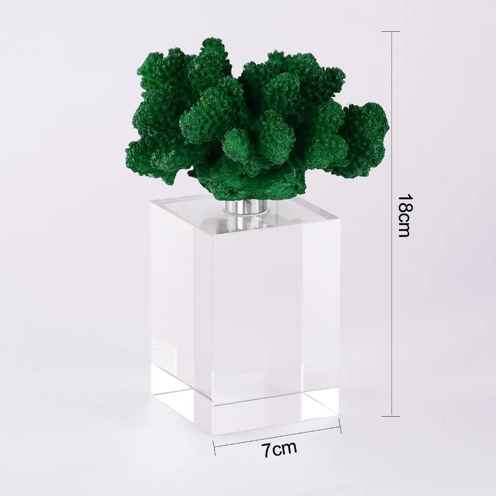 6cm