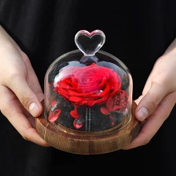 

Beautiful Shining Roses, Immortal Flowers, Real Flowers, Christmas Valentine's Day Birthday Gifts for Girls In Nine Colors