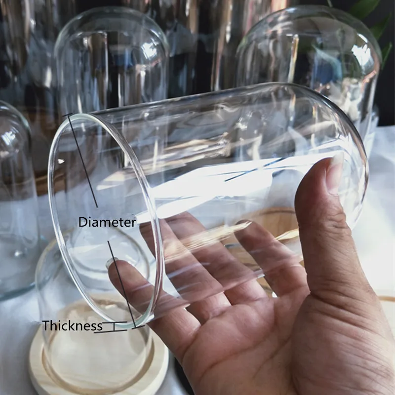 10*25cm Big Size Transparent Glass Dome Vase Home Decoration Antique Base Cover DIY Friend Birthday Gift Wedding Live Prop 5