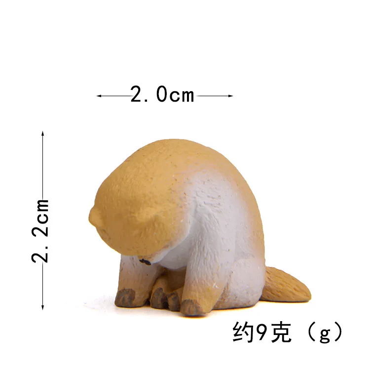 20190626_211556_120