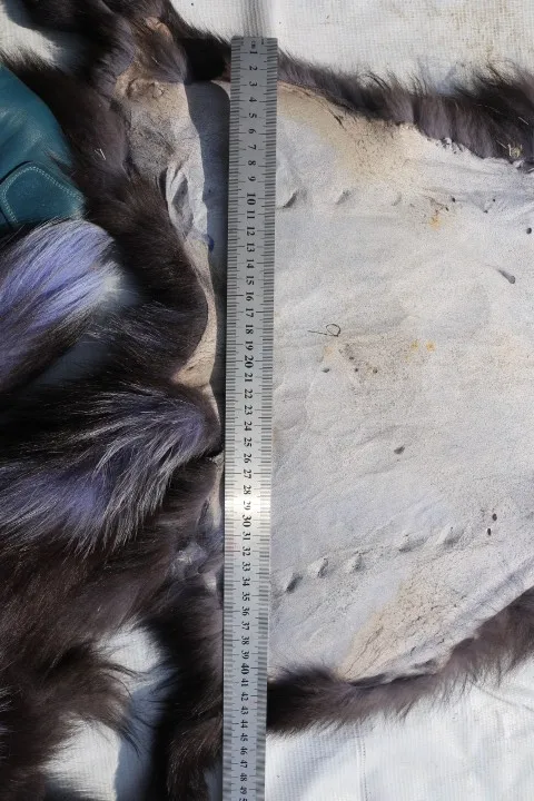 Высококачественная TF карта с фактическим лисы меховое голье цвета подлинного серебра с лисий мех