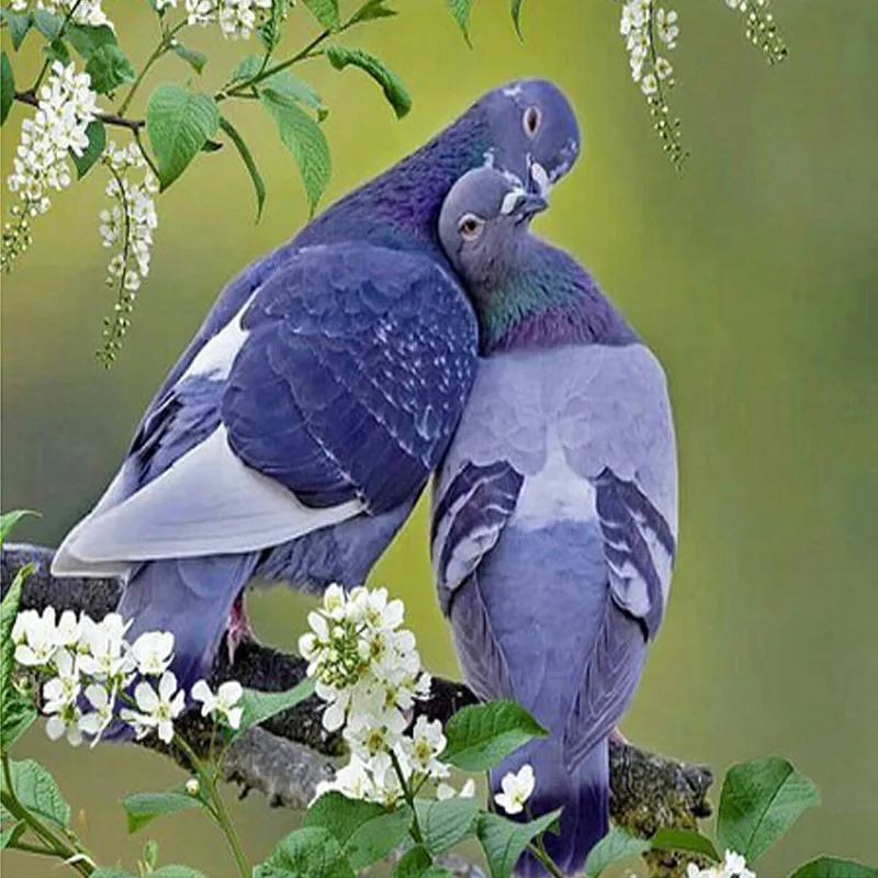

5D Diamond embroidery animal dove diamond cross stitch round diamond painting diy diamond painting two love doves